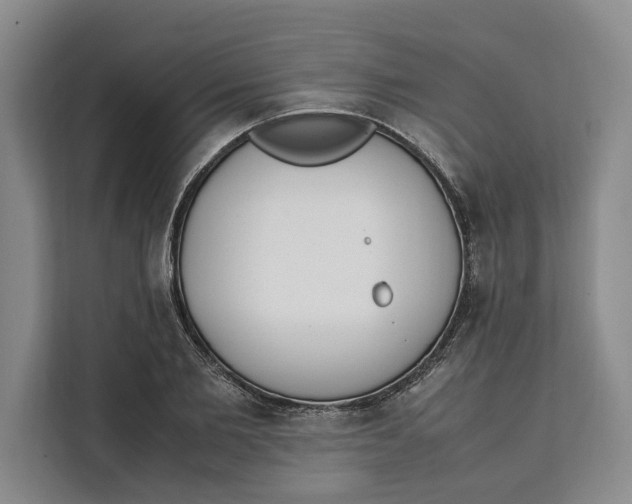 X0000111140885200907141319