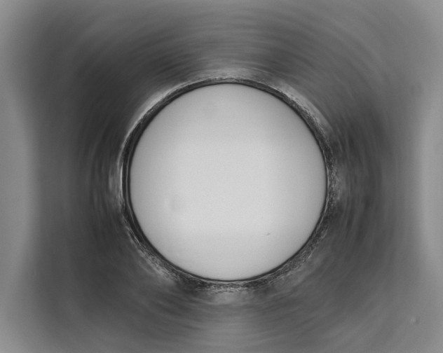 X0000111140886200907141319