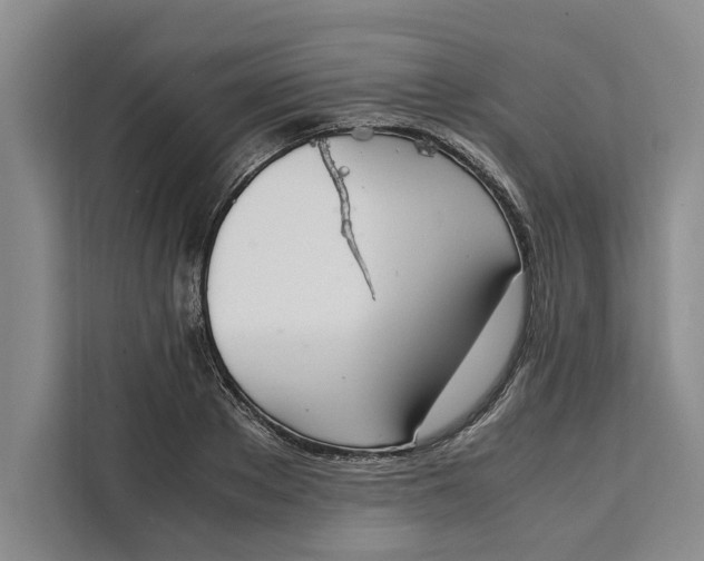 X0000111140889200907141319