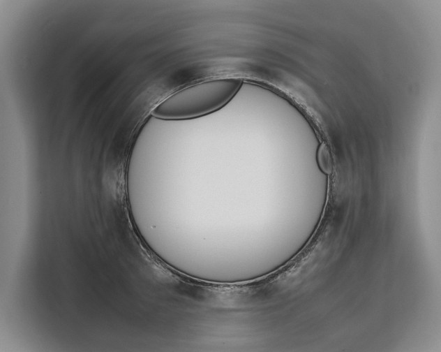 X0000111140897200907141319