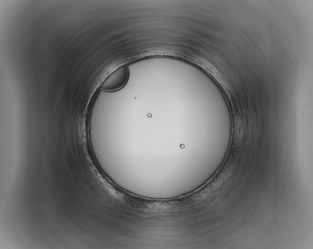 X0000111140898200907141319