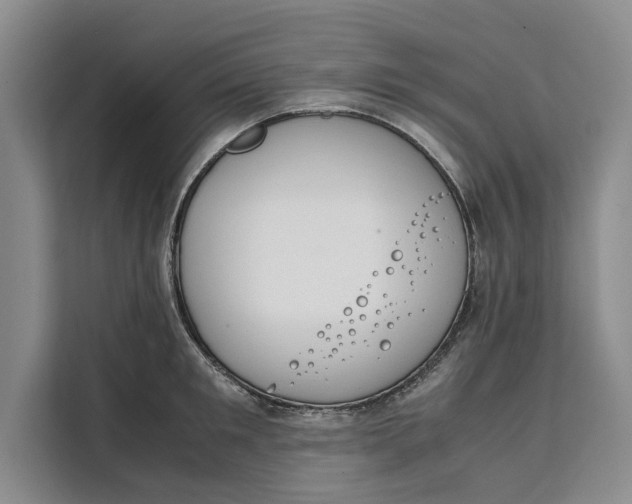 X0000111140901200907141319