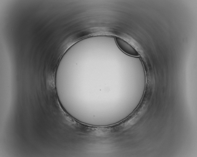 X0000111140905200907141319