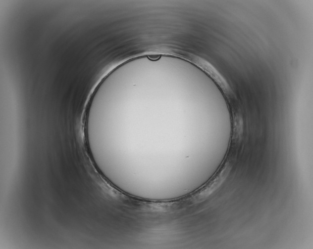 X0000111140908200907141319