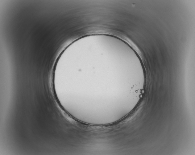 X0000111140909200907141319