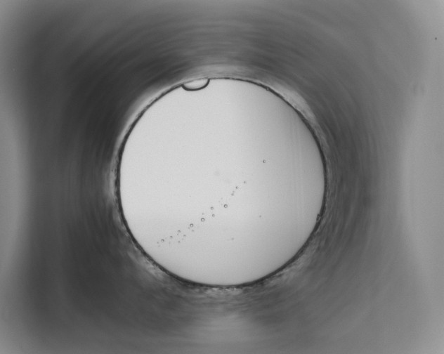 X0000111140912200907141319