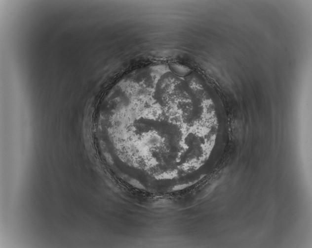 X0000111140913200907141318