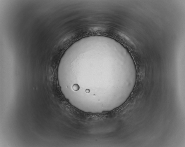 X0000111140917200907141318