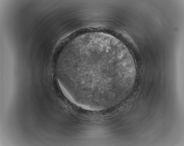 X0000111140920200907141318