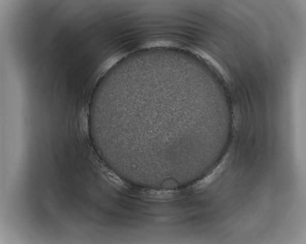 X0000111140921200907141318