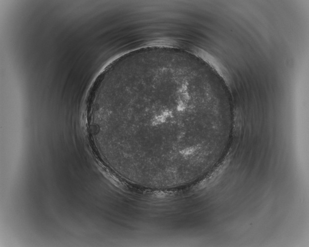 X0000111140923200907141318