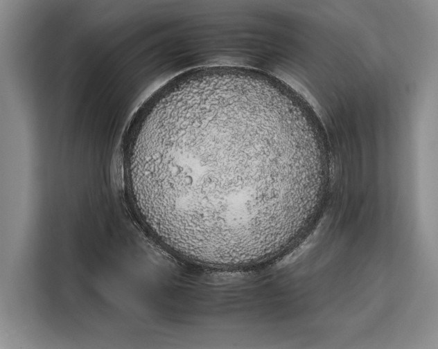 X0000111140925200907141318