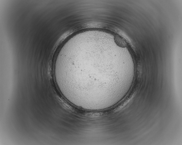 X0000111140930200907141318