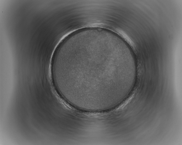 X0000111140932200907141318