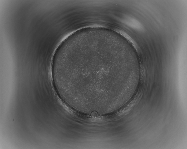 X0000111140935200907141318