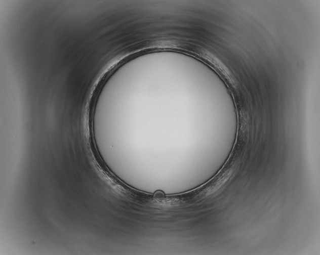 X0000111140939200907141318