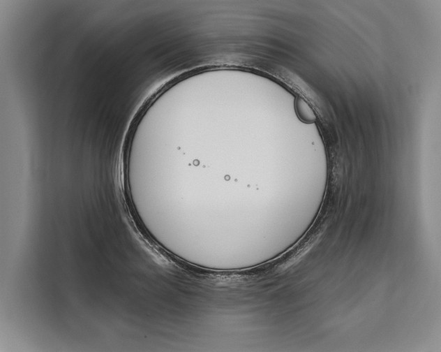 X0000111140940200907141318