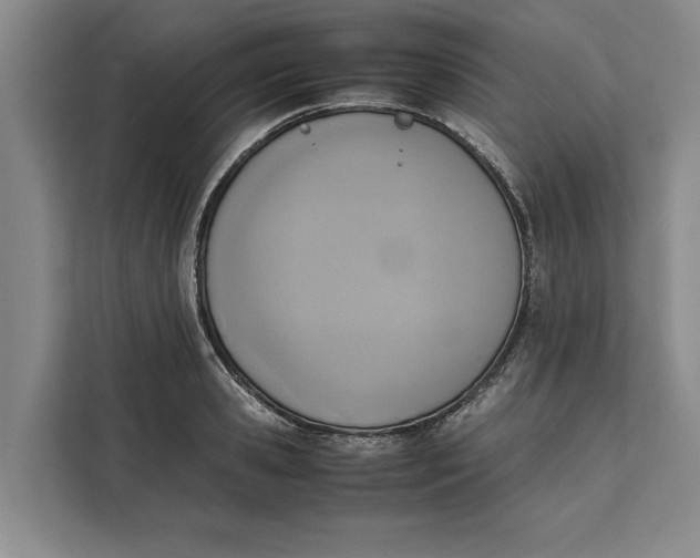 X0000111140941200907141318