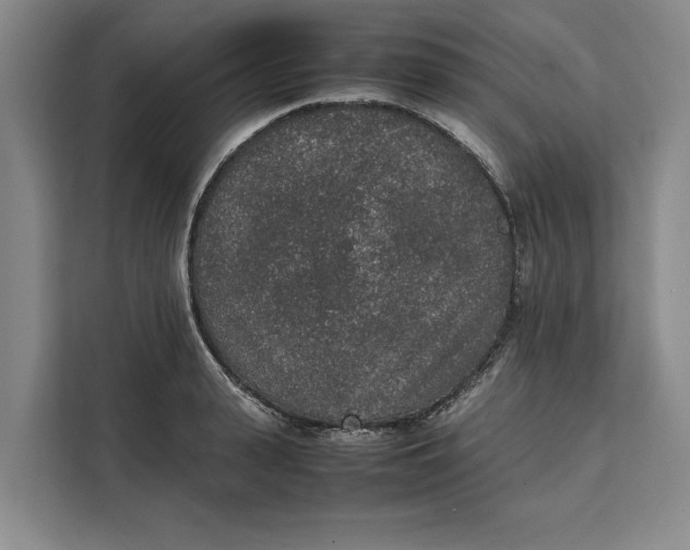 X0000111140943200907141319