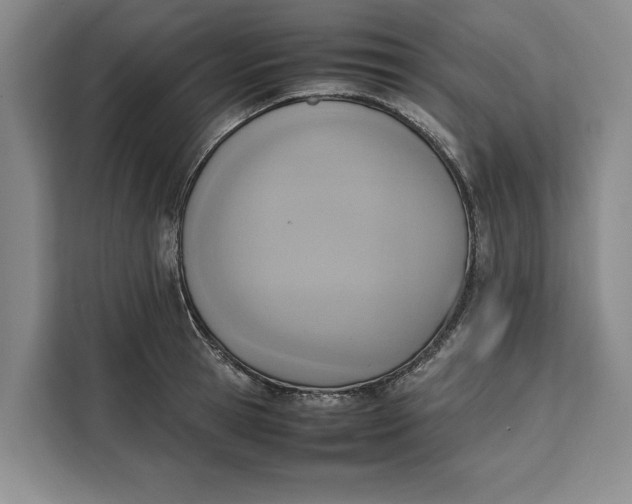 X0000111140945200907141319