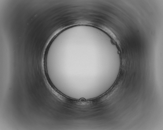 X0000111140947200907141319