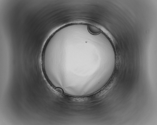 X0000111140951200907141319