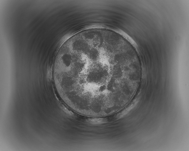 X0000111140953200907141319