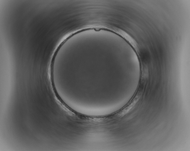 X0000111140958200907141319