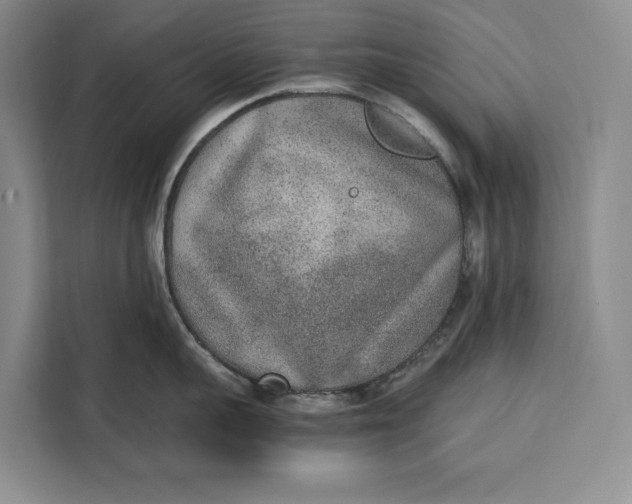 X0000111140959200907141319