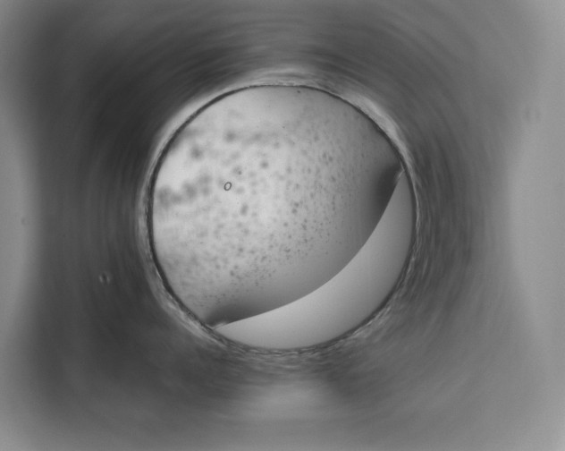 X0000111140960200907141319