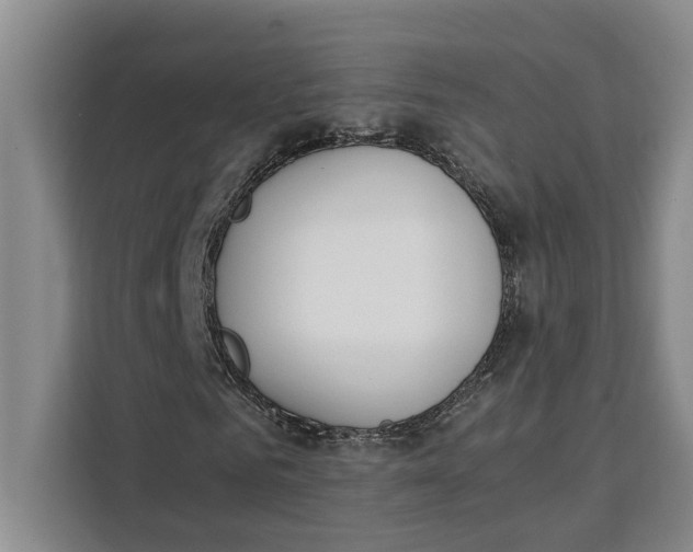 X0000111140961200907141318