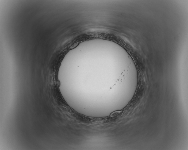 X0000111140965200907141318