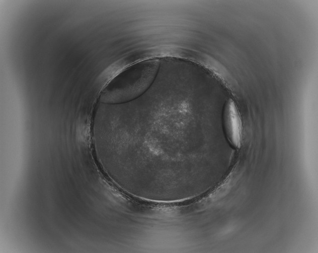 X0000111140977200907141318