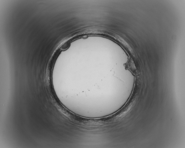 X0000111140981200907141318