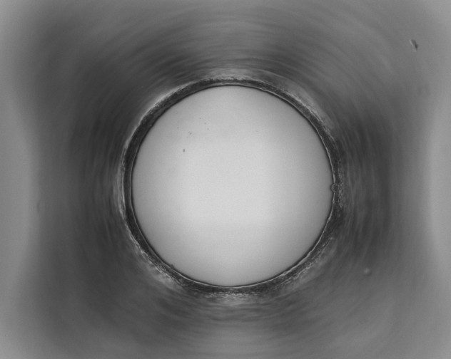 X0000111140984200907141318