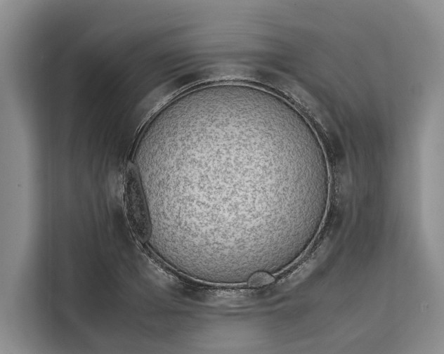 X0000111140985200907141318