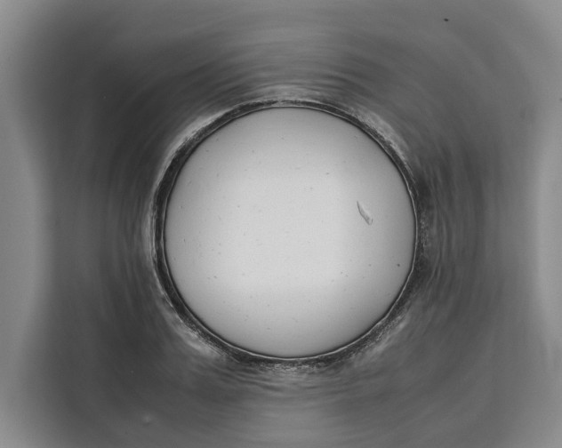 X0000111140987200907141318