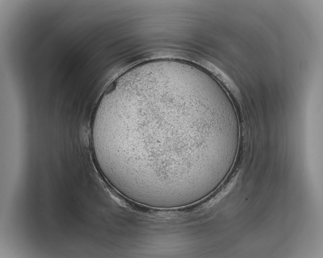 X0000111140993200907141318