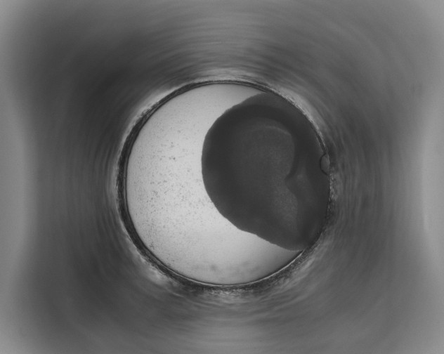 X0000111140995200907141318