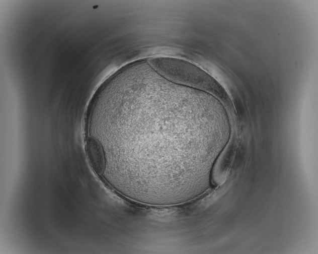 X0000111140997200907141318