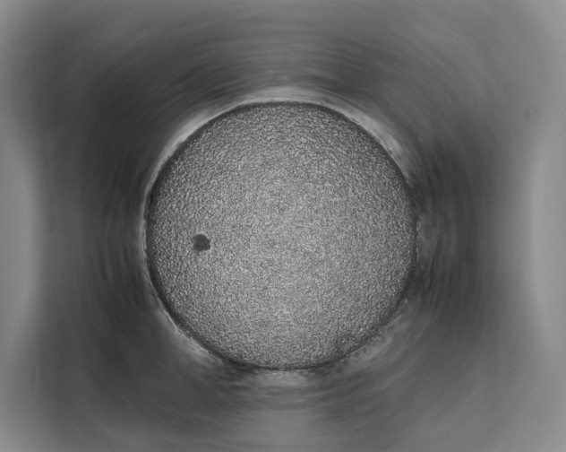 X0000111140998200907141318