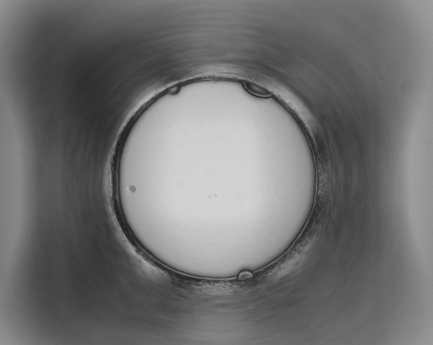 X0000111140999200907141318