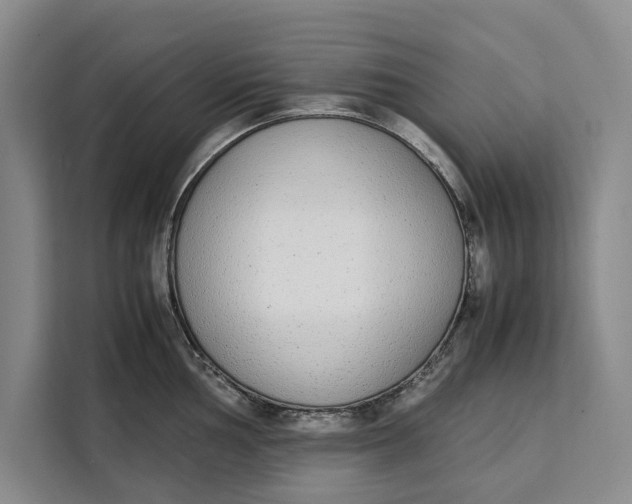 X0000111141002200907141318