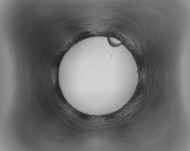 X0000111141012200907141317