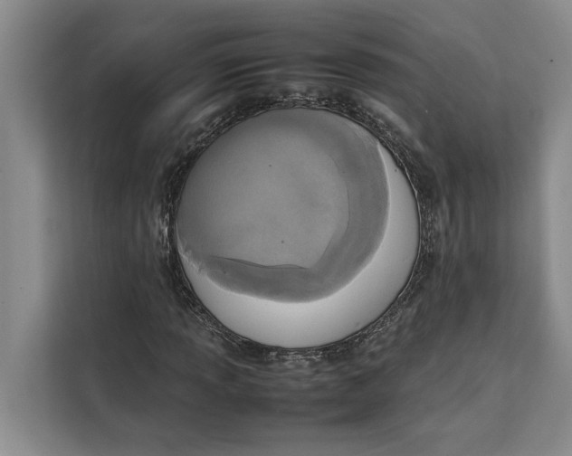 X0000111141013200907141317