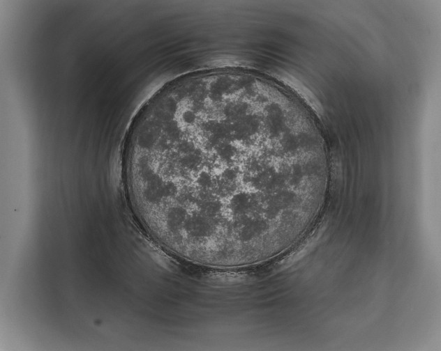 X0000111141023200907141317