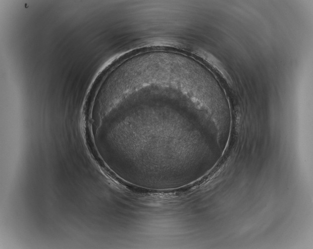 X0000111141024200907141317