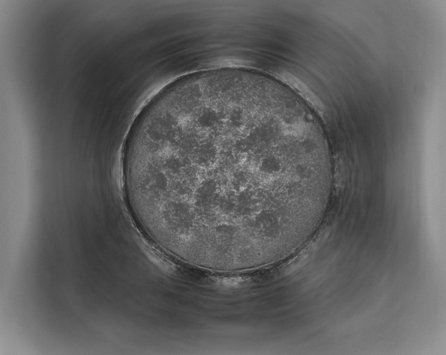 X0000111141031200907141317