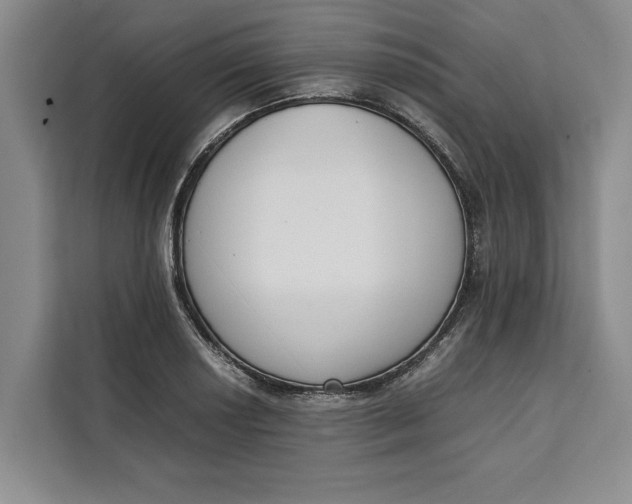 X0000111141034200907141317