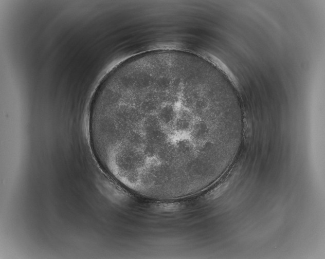 X0000111141035200907141317